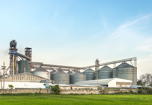 silo in food industry, argiculture, behind rice field with clear sky