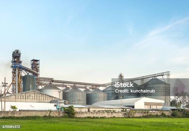 Silo In Food Industry Behind Rice Field Stock Photo - Download Image Now - Rice - Food Staple, Industry, Garbage Bin