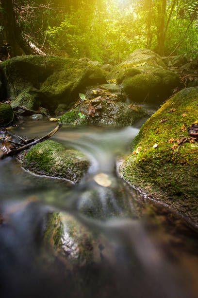 istock smooth water fall flow through the curve rock in Thailand 670089852