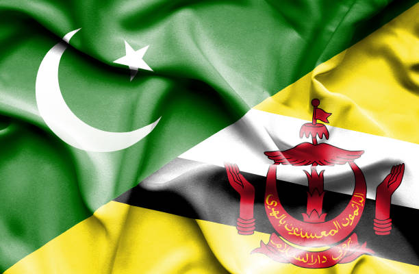 mengibarkan bendera brunei dan pakistan - brunei money ilustrasi stok
