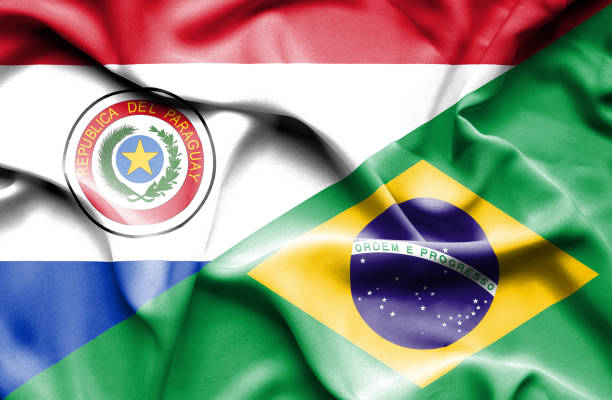размахивая флагом бразилии и ,парагвай - brazil serbia stock illustrations