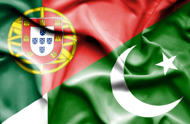 ilustrações de stock, clip art, desenhos animados e ícones de waving flag of pakistan and portugal - bandeira do paquistão