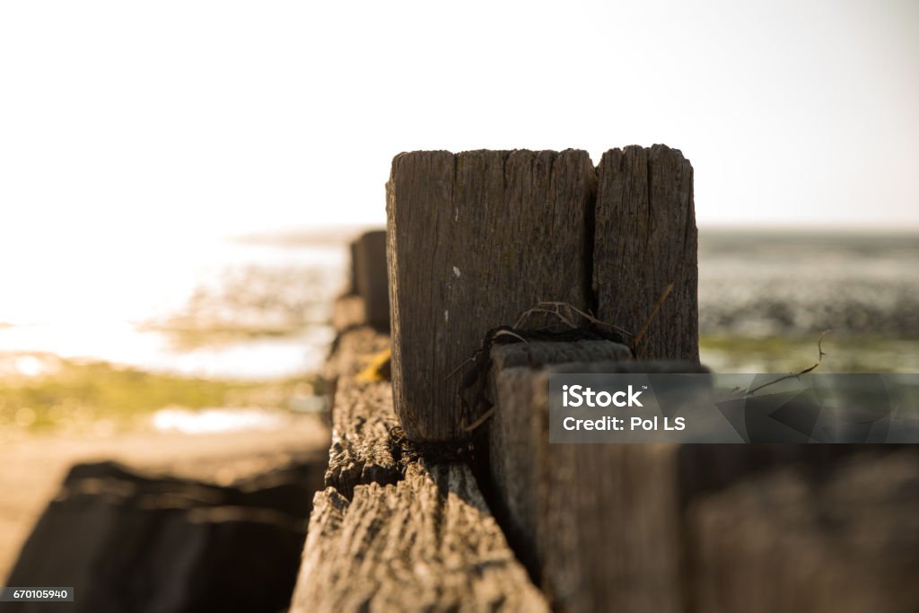 Wooden barrier on the sea Les Moutiers-en-Retz Clear Sky Stock Photo