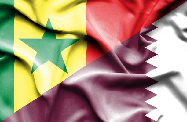 카타르와 세네갈의 국기를 흔들며 - qatar senegal stock illustrations