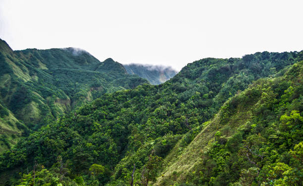 istock Dominica Mountain Top 670116872