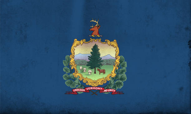 istock Flag of Vermont, USA with an old, vintage style 670117592