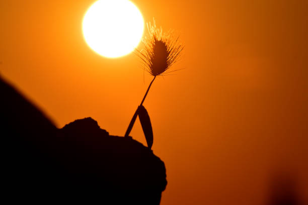 istock Beauty of a sunset 670127890