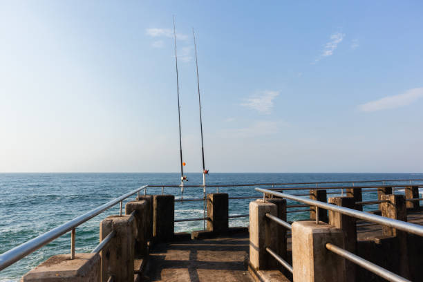 istock Ocean Fishing Rods Pier Jetty 670130746