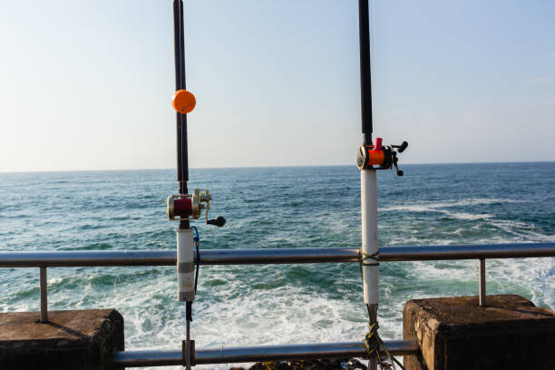istock Fishing Rods Ocean Pier Jetty 670133512