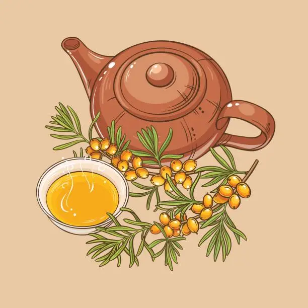 Vector illustration of sea buckthorn tea