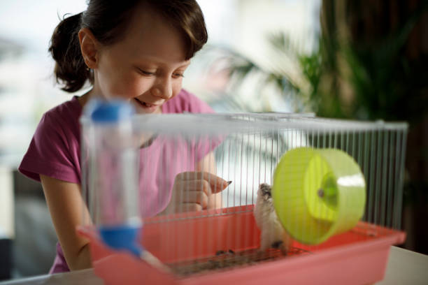 istock Beautiful little girl is feeding hamster 670136476