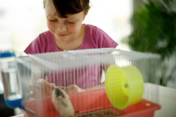 istock Little girl playing with hamster 670136536