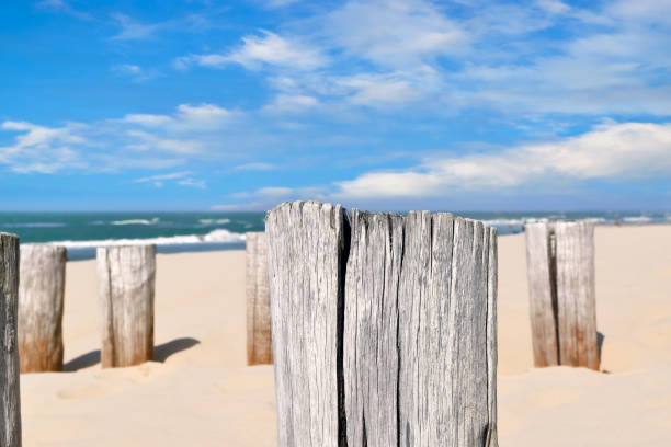 istock On the Beach by the Sea 670139932