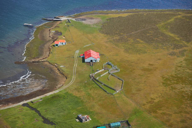 establecimiento de isla más triste - islas malvinas fotografías e imágenes de stock