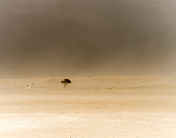 bela paisagem deserta durante uma tempestade de areia - dusk shadow dry sandbar - fotografias e filmes do acervo