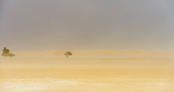 bela paisagem do deserto durante uma tempestade de areia - dusk shadow dry sandbar - fotografias e filmes do acervo