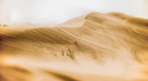 bela paisagem do deserto durante uma tempestade de areia - dusk shadow dry sandbar - fotografias e filmes do acervo