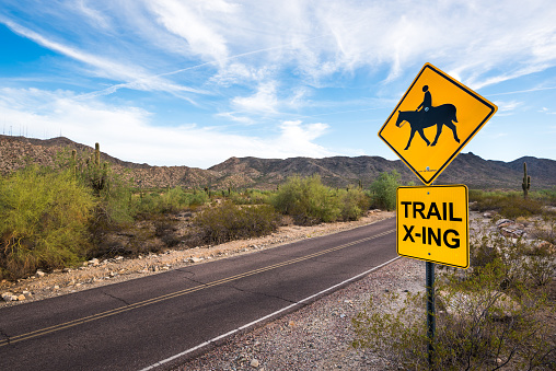 Photo of a horse trial crossing road sign in front of desert landscape and mountains at South Mountain Park in Phoenix, Arizona