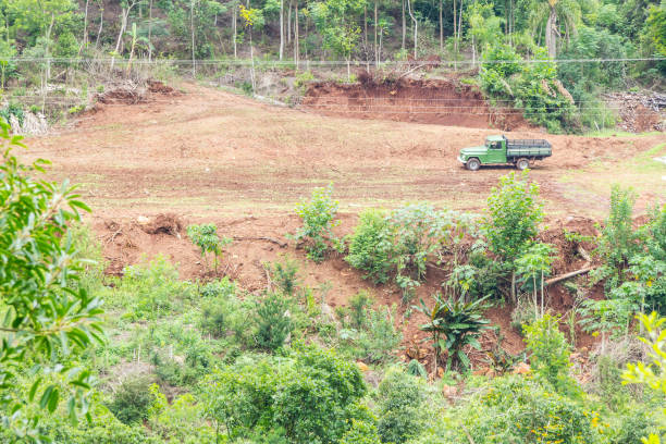 istock Old truck in a farm 670165518