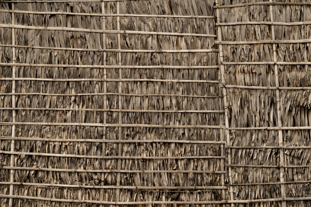 istock Thatch and bamboo wall facade, Siem Reap, Cambodia 670171894