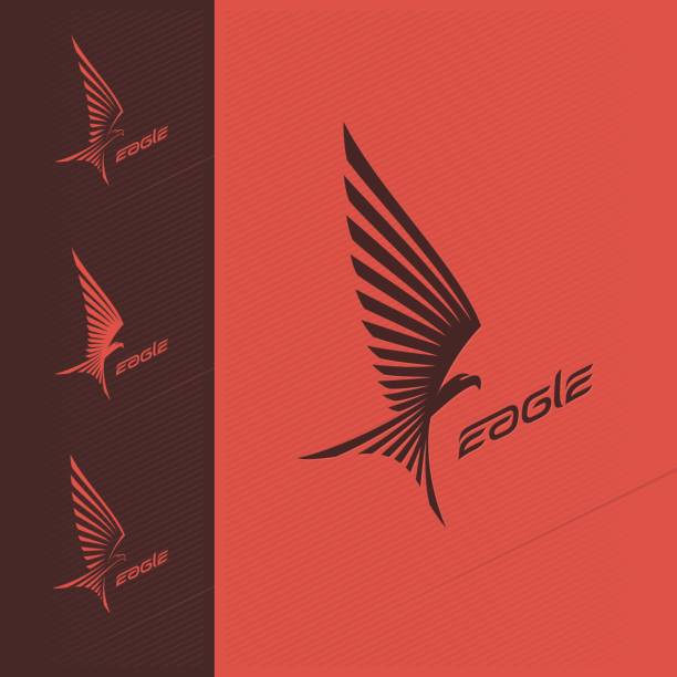 Eagle Feature Design 20,800+ Eagle Feather Designs Stock Photos, Pictures & Royalty-Free ...