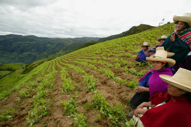Portrait of farmers in the highlands of Cajamarca, Peru, growing green peas as an anti-poverty program to provide protein rich food and a sustainable economy.