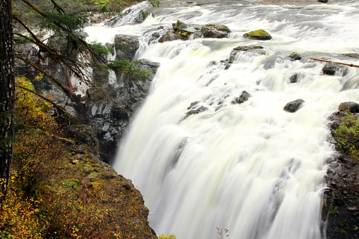 Englishman River Falls on Vancouver Island, north of Nanaimo, Canada.