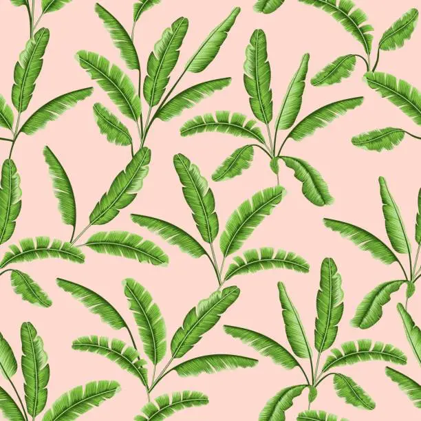 Vector illustration of Tropical leaves seamless pattern