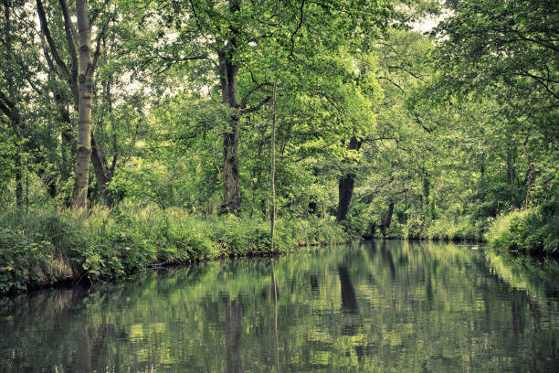 istock Green canals in german Spreewald. 670198638