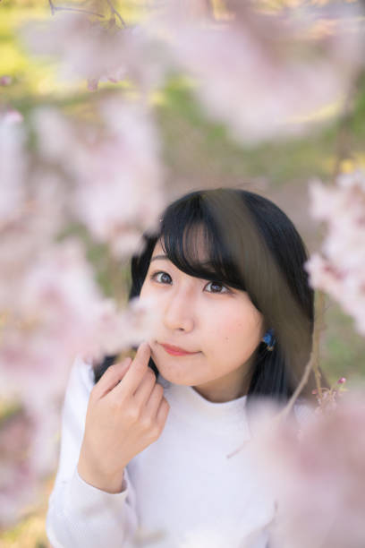 istock Young woman looking up cherry blossoms 670205790