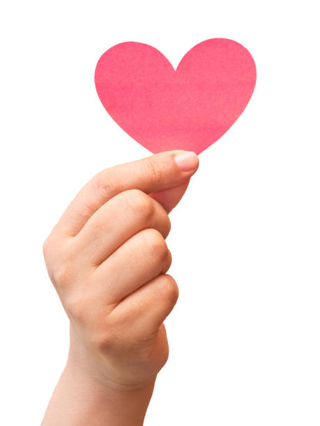 paper heart in hand on white background stock photo