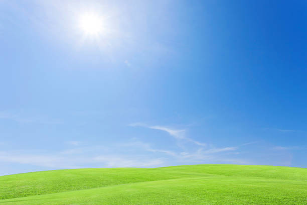 istock Green grass field and beautiful blue sky with clouds background. 670225336