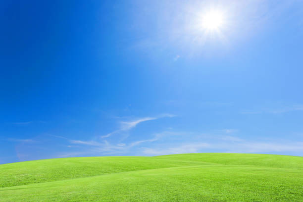 istock Green grass field with blue sky white cloud background. 670225370