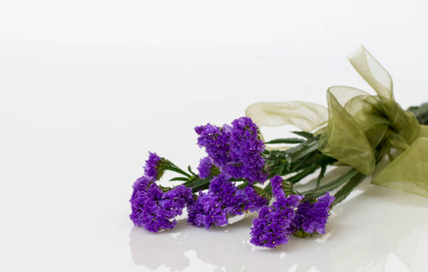 istock purple statice flower with ribbon. 670232392