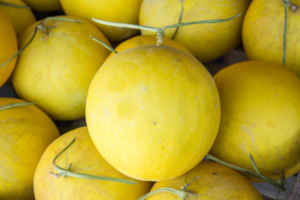 istock yellow melon n the market 670232484