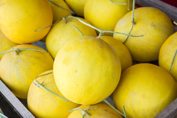 istock yellow melon n the market 670232600