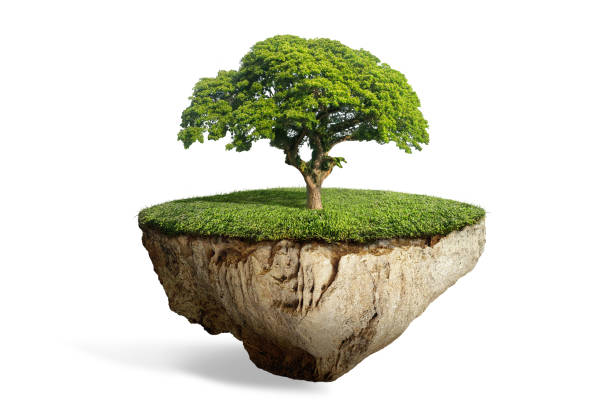 istock fantasy floating island with natural lonely tree on the rock 670233504