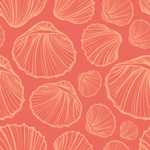 illustrations, cliparts, dessins animés et icônes de vecteur coquillages sans soudure. doodle un fond coloré. - vacations nature shell snail