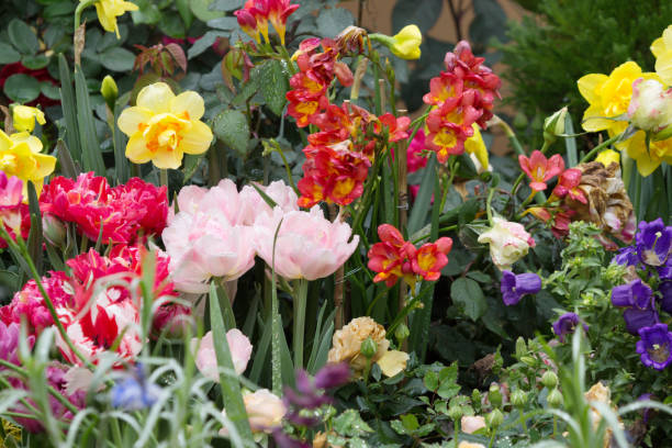 istock Blossoming flowerbeds in the park 670240636