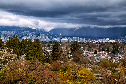 View from Queen Elizabeth Park in Spring of 2017