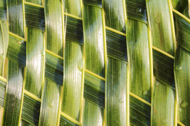 istock Zigzag interlocking of coconut leaves weave 670250084