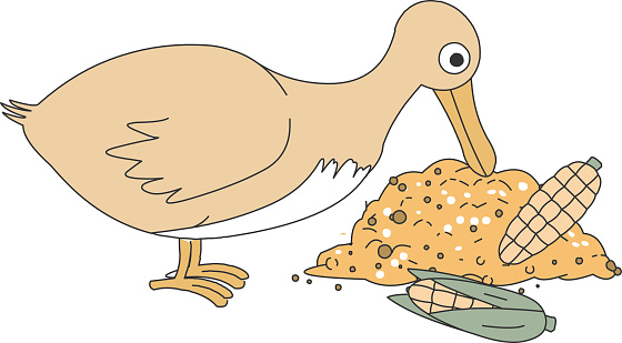 Free download of hungry duck vector graphics and illustrations