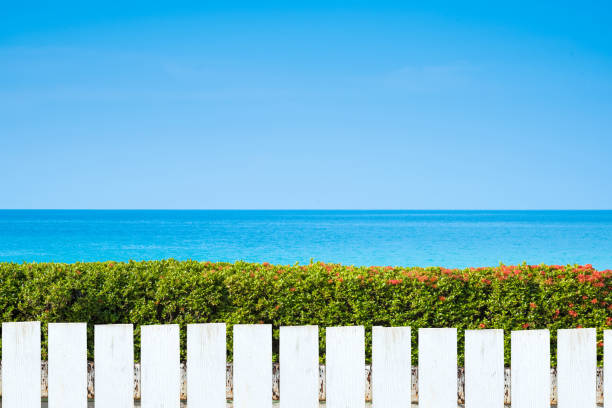 recinto di picchetto bianco e parete di foglie verdi su sfondo blu del mare. - picket fence grass gardens nature foto e immagini stock