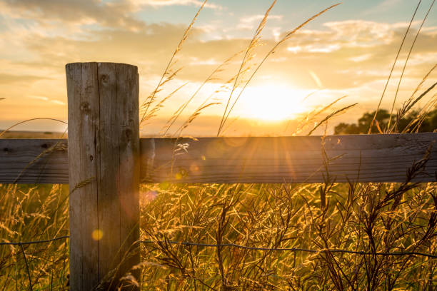 穏やかな晴れた日の午後 - farm fence landscape rural scene ストックフォトと画像