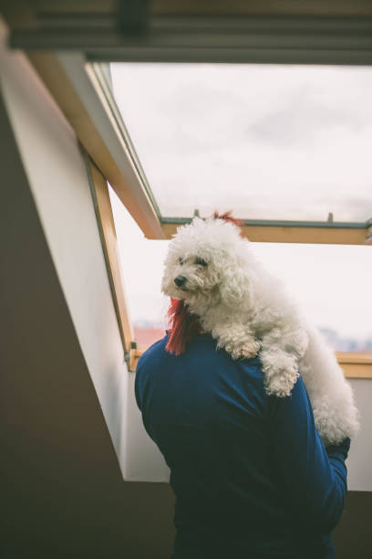 istock girl  and cuddling her cute dog 670277478