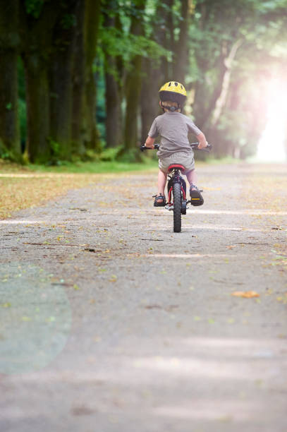 istock Child boy on a bicycle in the forest in summer. 670280676