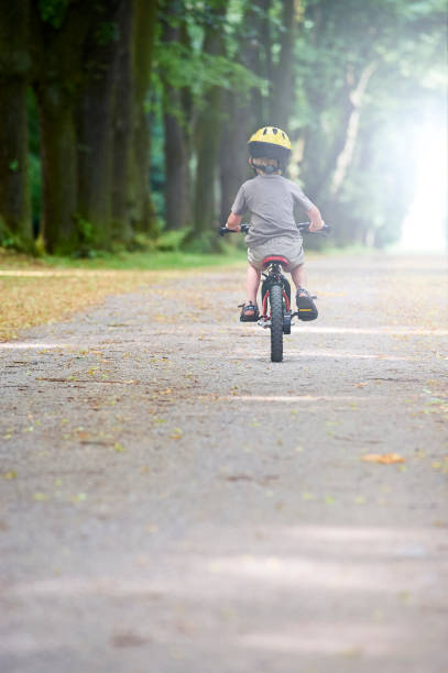 istock Child boy on a bicycle in the forest in summer. 670280678