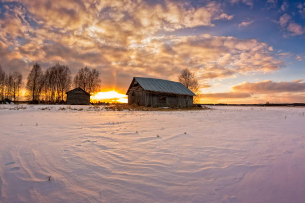 istock Barns And Trees In The Sunset 670302912