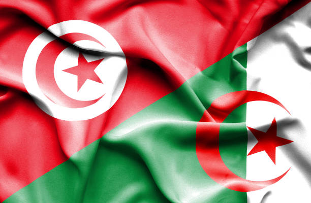 揮舞著阿爾及利亞和突尼斯的旗幟 - 阿爾及利亞 幅插畫檔、美工圖案、卡通及圖標