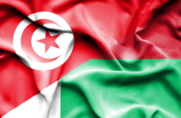 istock Waving flag of Madagascar and Tunisia 670314168